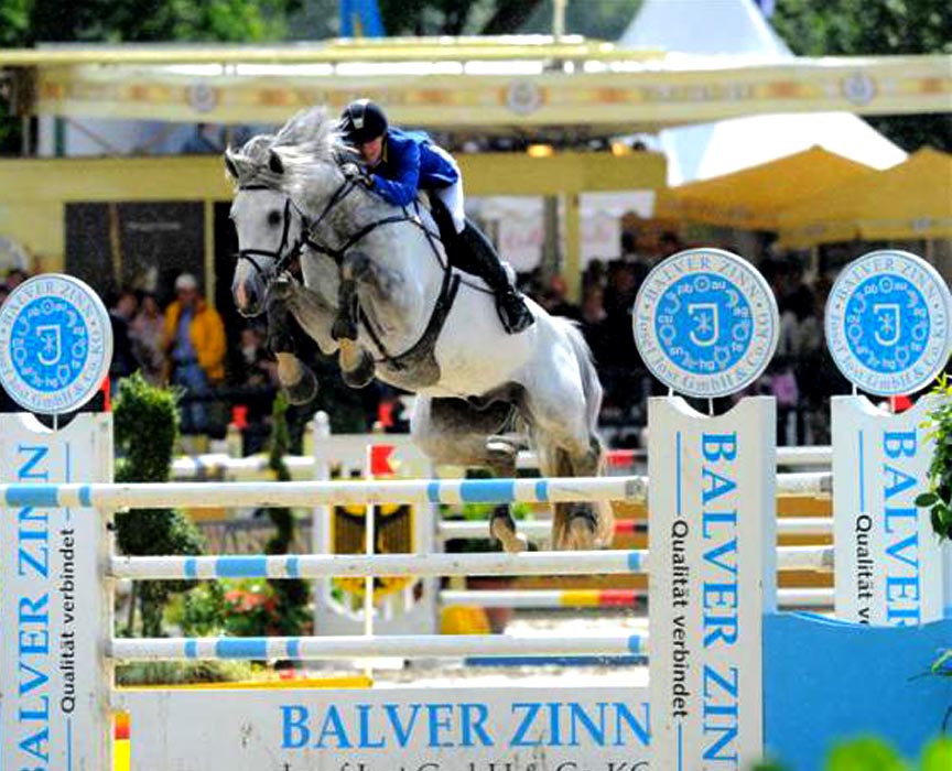 azca-z-jumper-stallion-jumping-offspring-for-sale-at-hyperion-stud