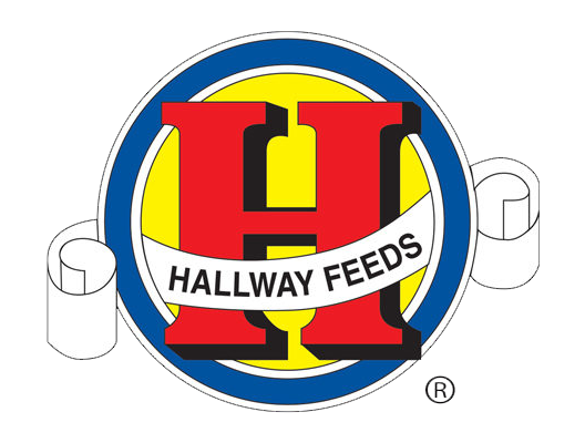 hallway-feeds