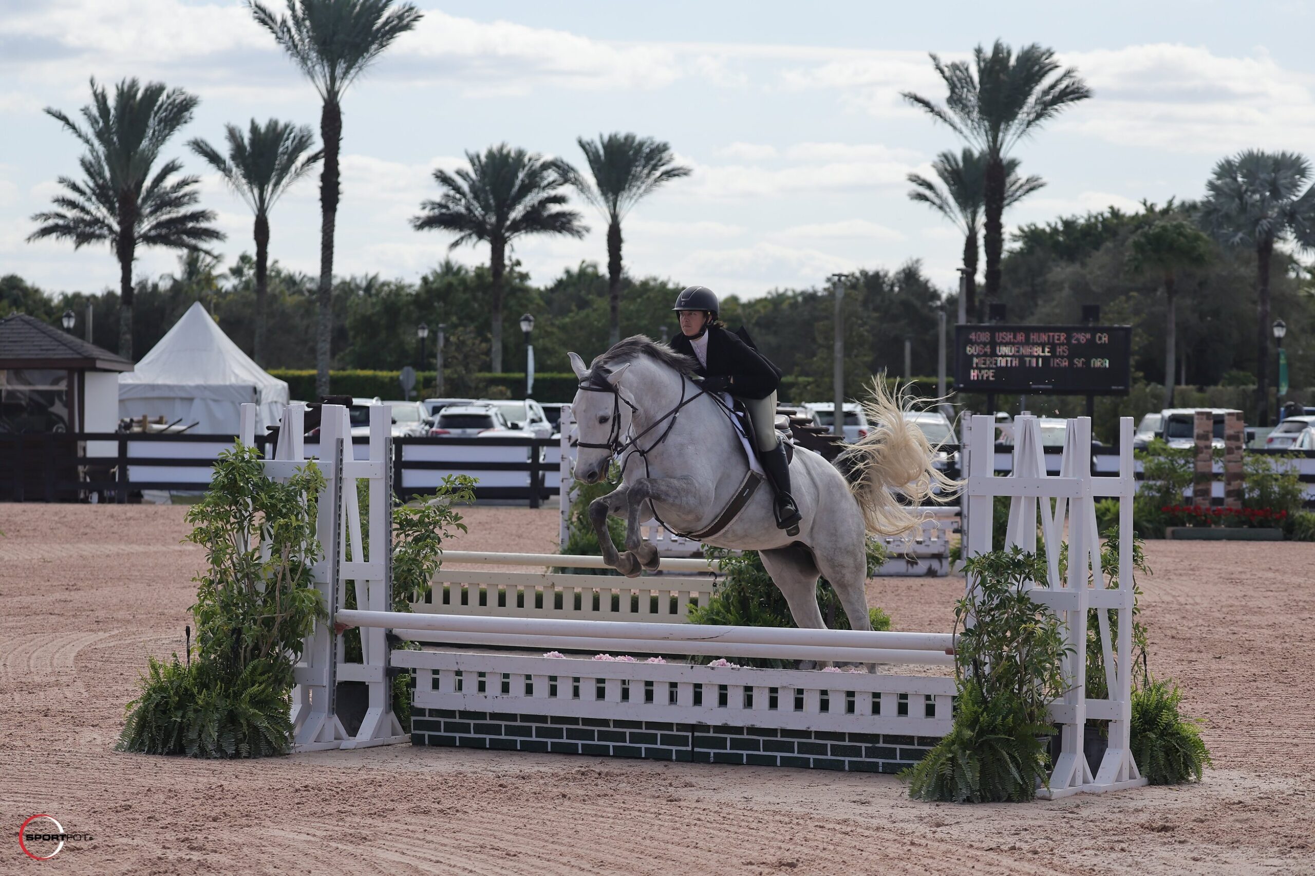 ushja hunter 2'6; 6064, UNDENIABLE HS, MEREDITH TILL; Sportfot